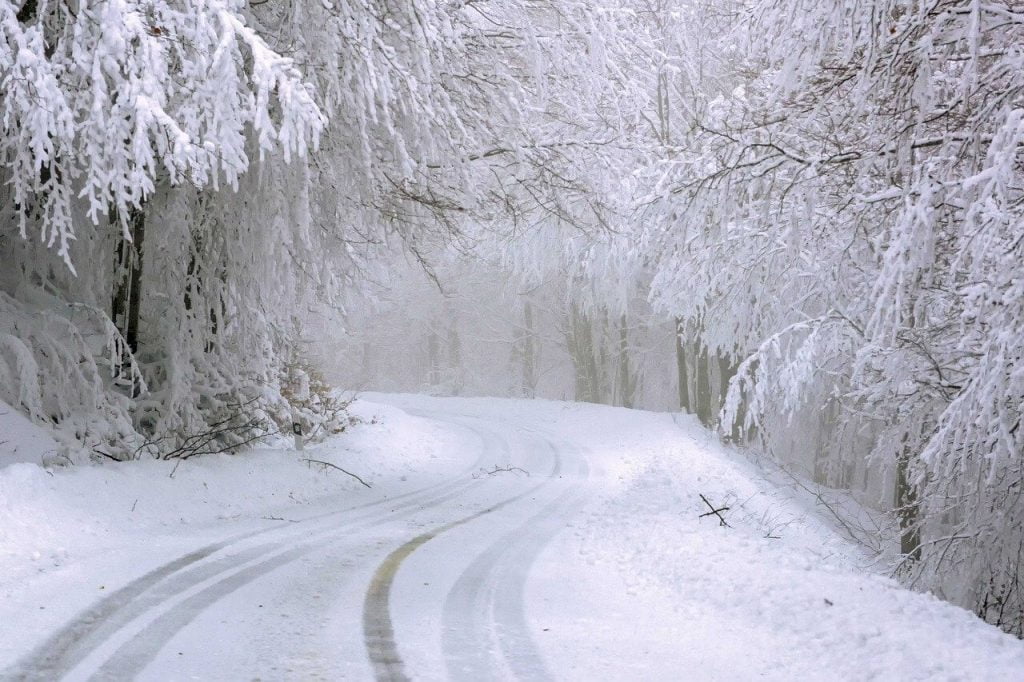 Winter photo of a snowy road with snowy trees.